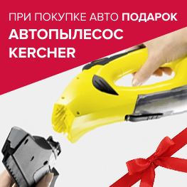 Полный бак бензина